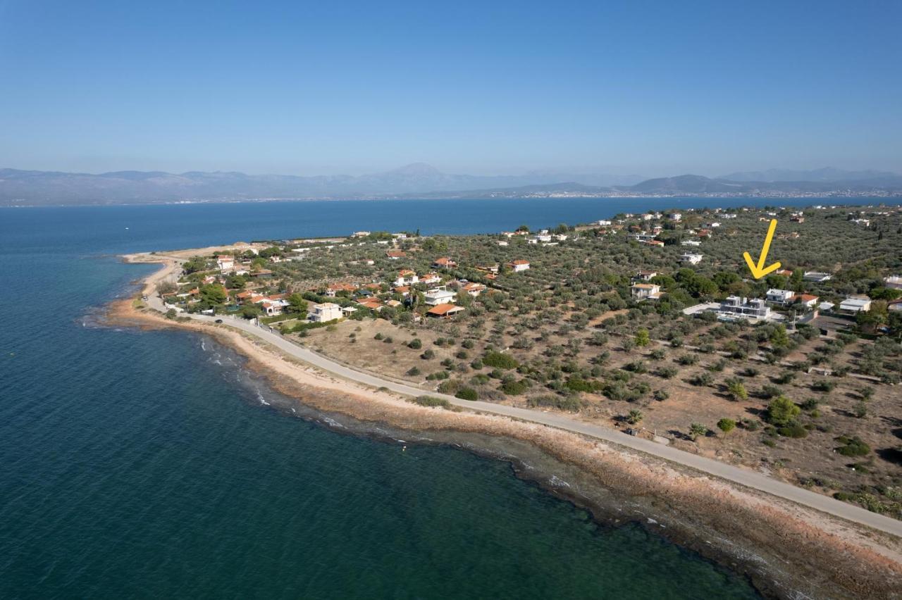 Marea Twins Villas Drosia  Dış mekan fotoğraf